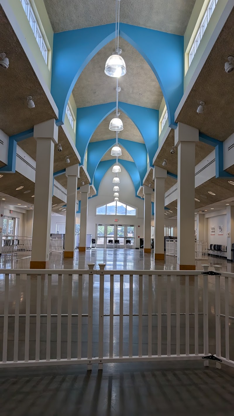 Arizona Humane Society South Mountain Campus image 5