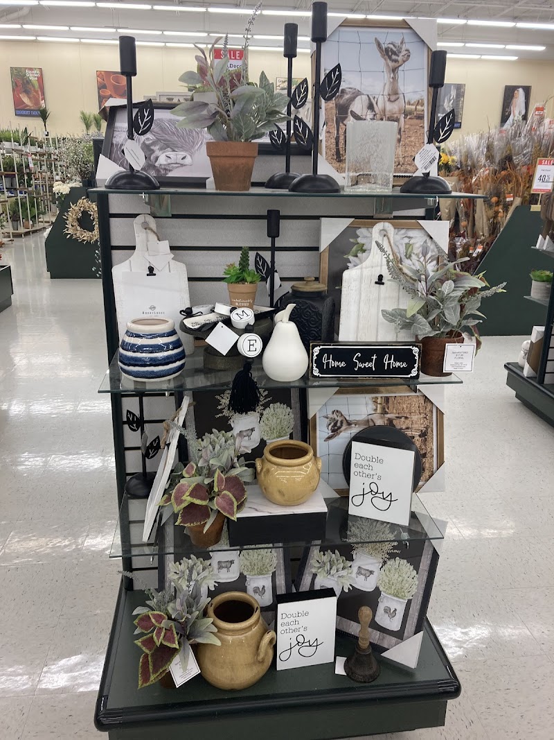 Hobby Lobby image 4