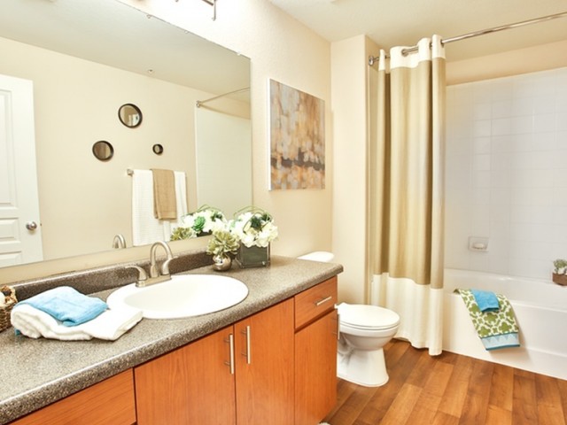 Trevi Apartments image 4