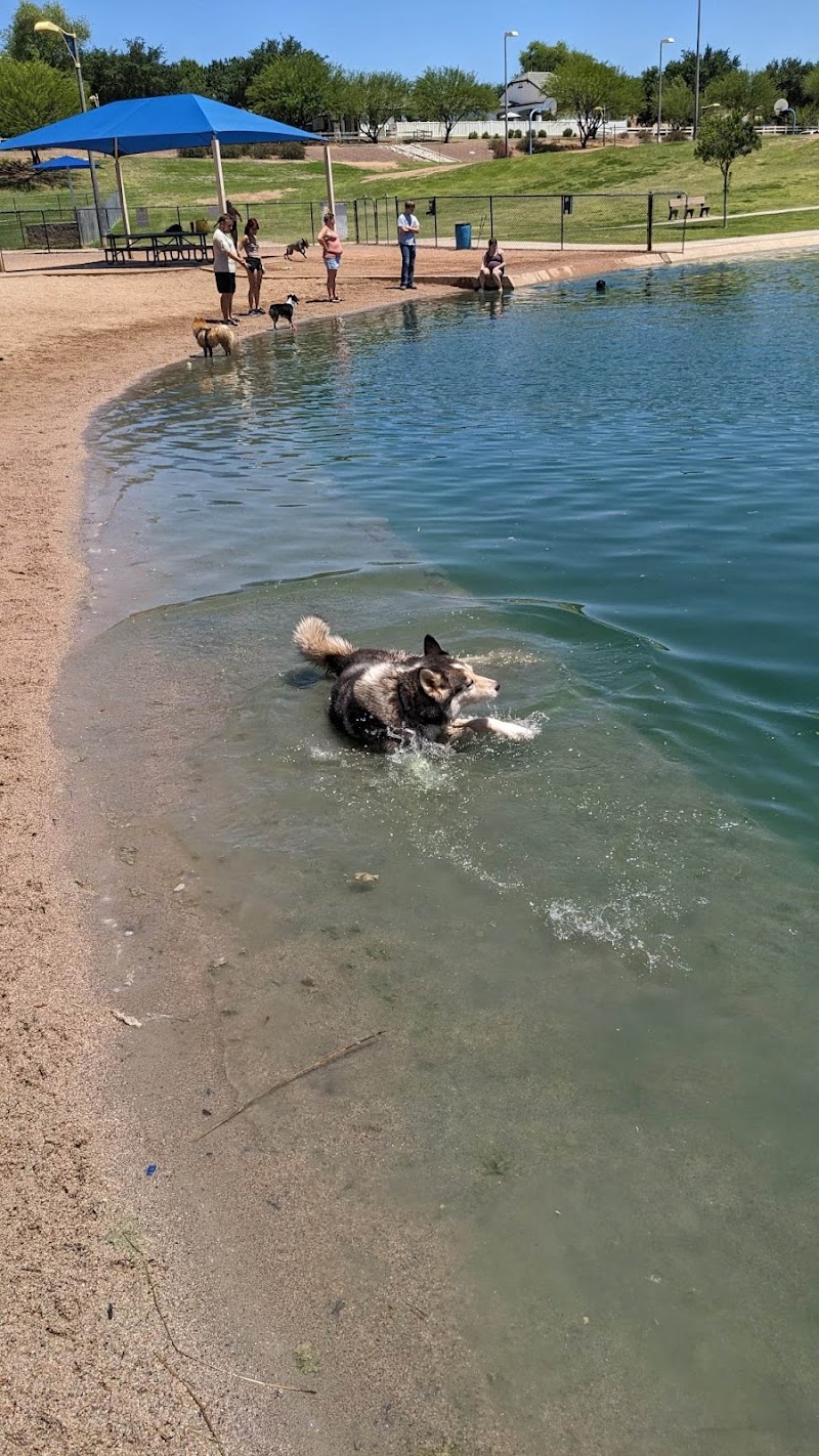 Cosmo Dog Park Gallery Image