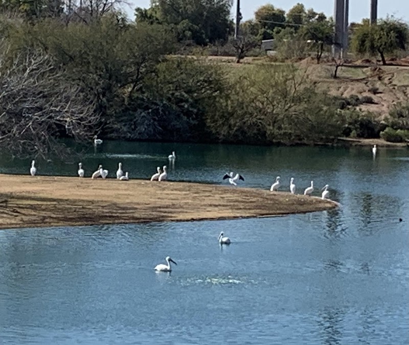 Dog Park at Crossroads image 2