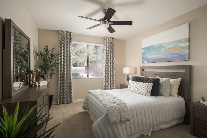 SanTan by Baron image 2