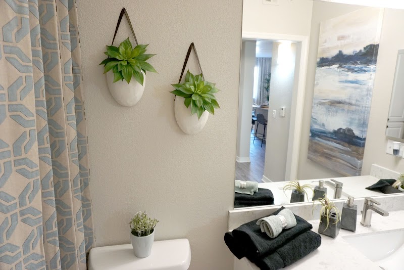 SanTan by Baron image 4