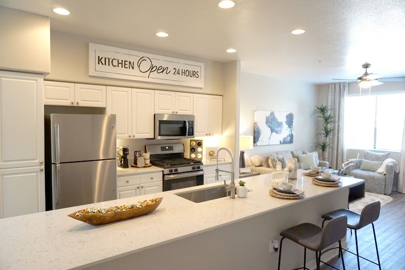 SanTan by Baron image 5