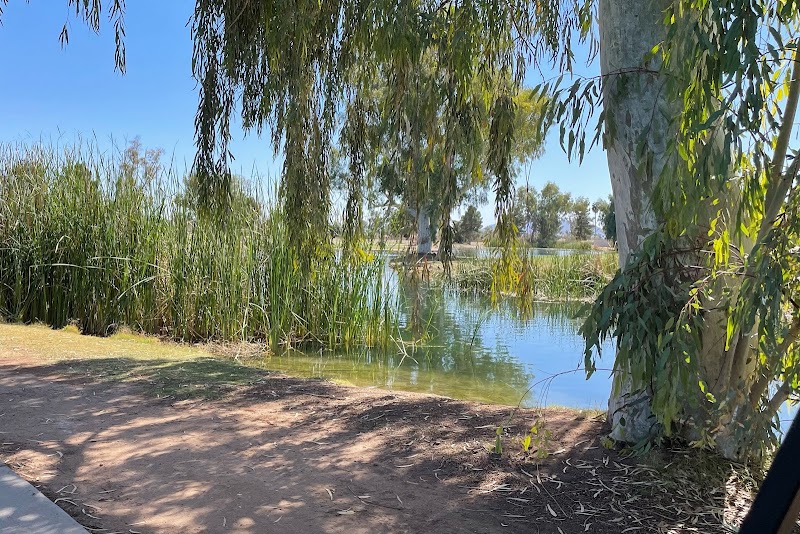 Toka Sticks Golf Club image 2