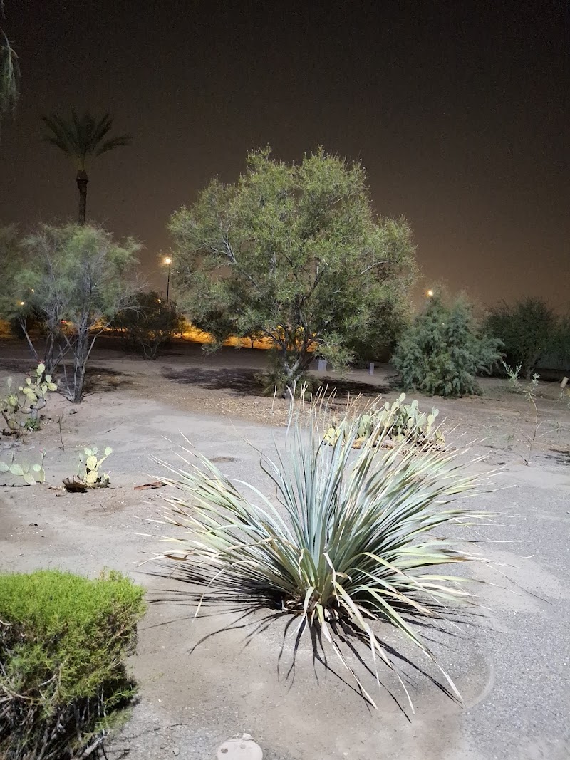 Toka Sticks Golf Club image 3