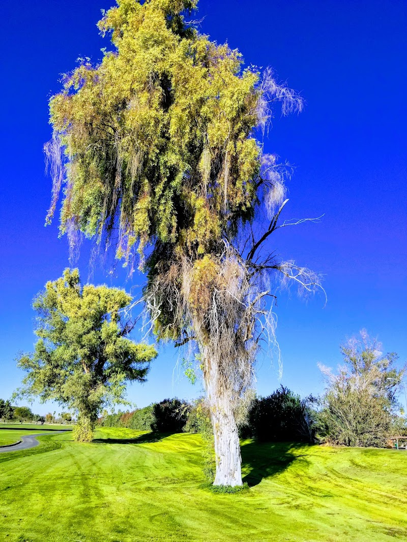 Toka Sticks Golf Club image 4