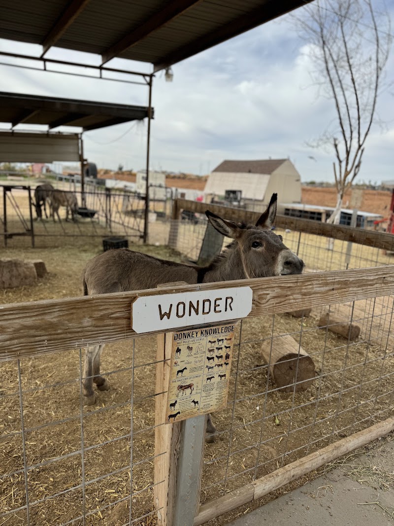 Superstition Farm image 2