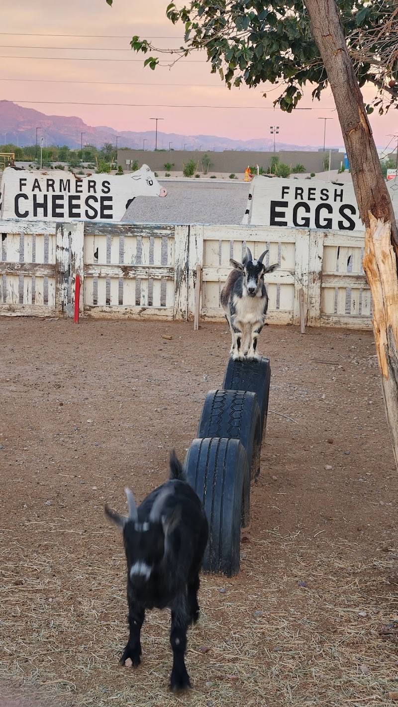 Superstition Farm image 3