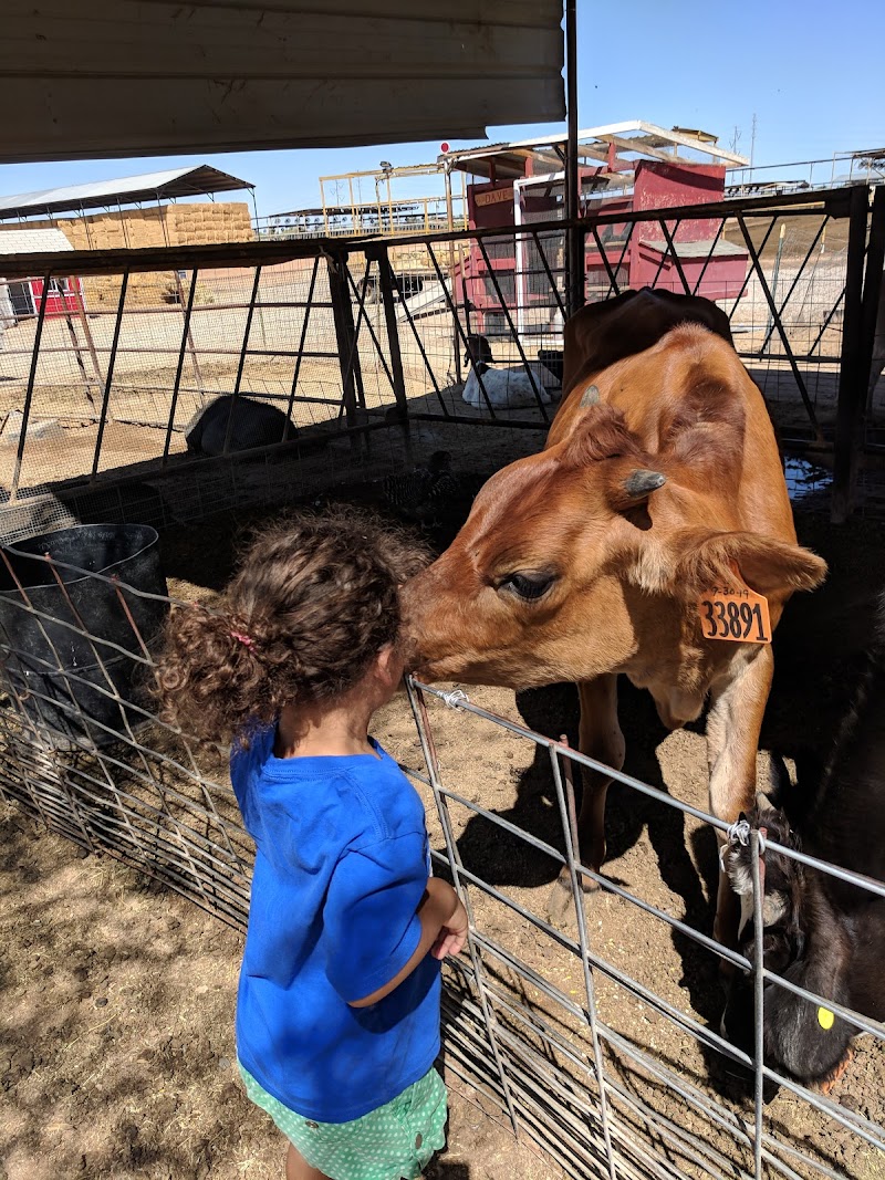 Superstition Farm image 5