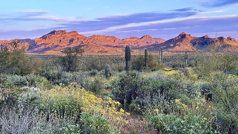 Superstition Mountain Golf &amp; Country Club image 5