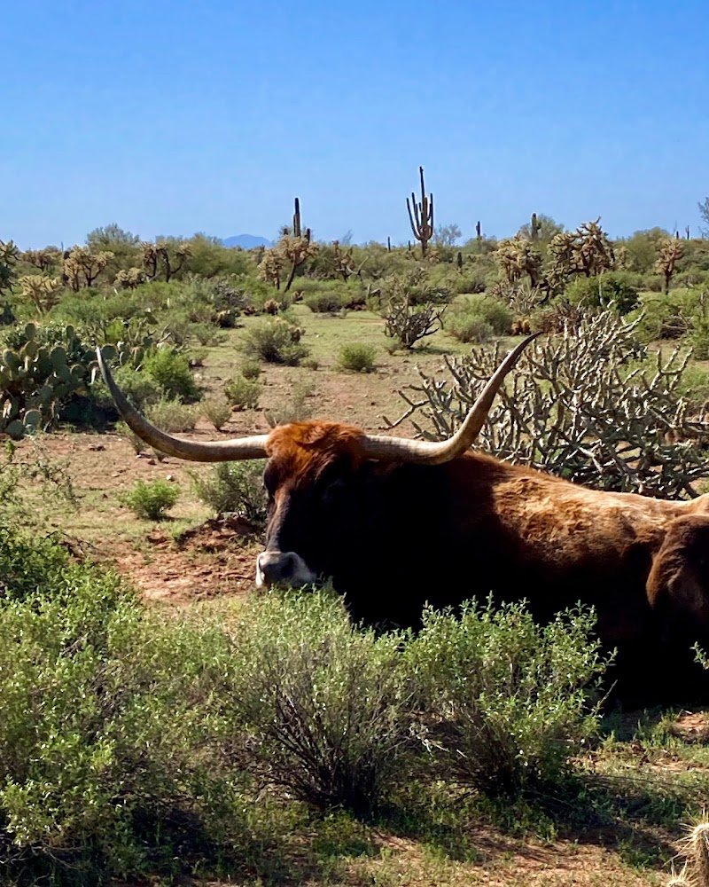 The UPS Store image 3