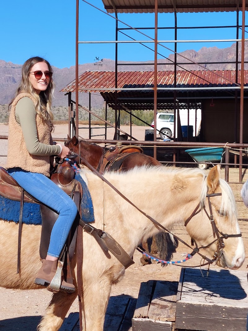 Don Donnelly's D Spur Ranch and Riding Stable image 3