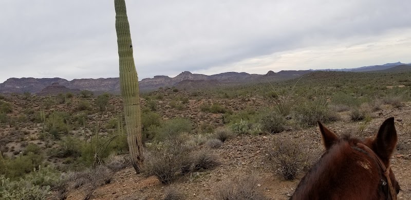 Don Donnelly's D Spur Ranch and Riding Stable image 4