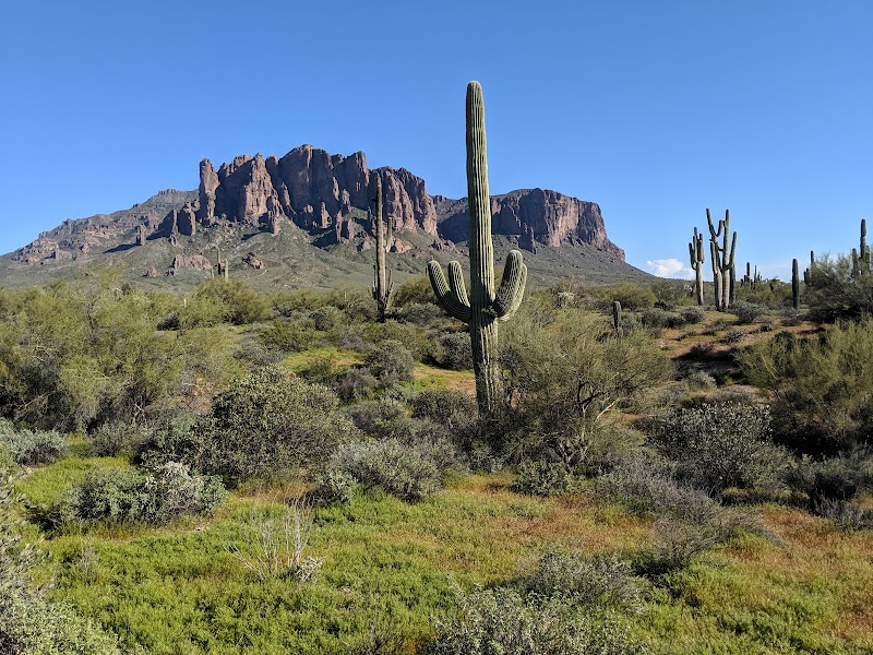 Apache Junction image 1