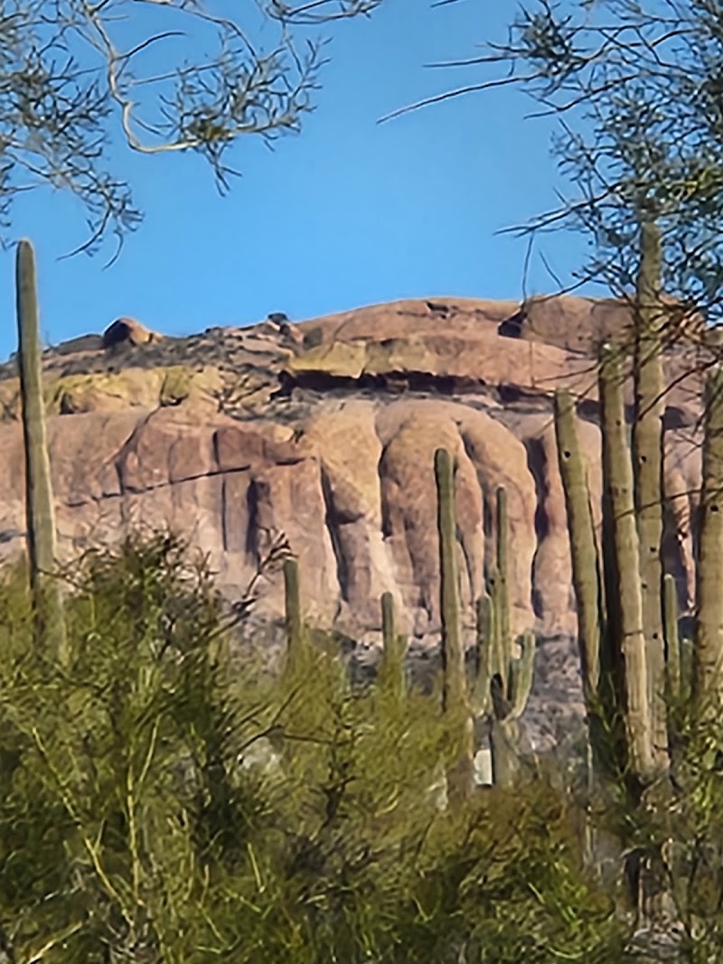 Apache Junction image 2