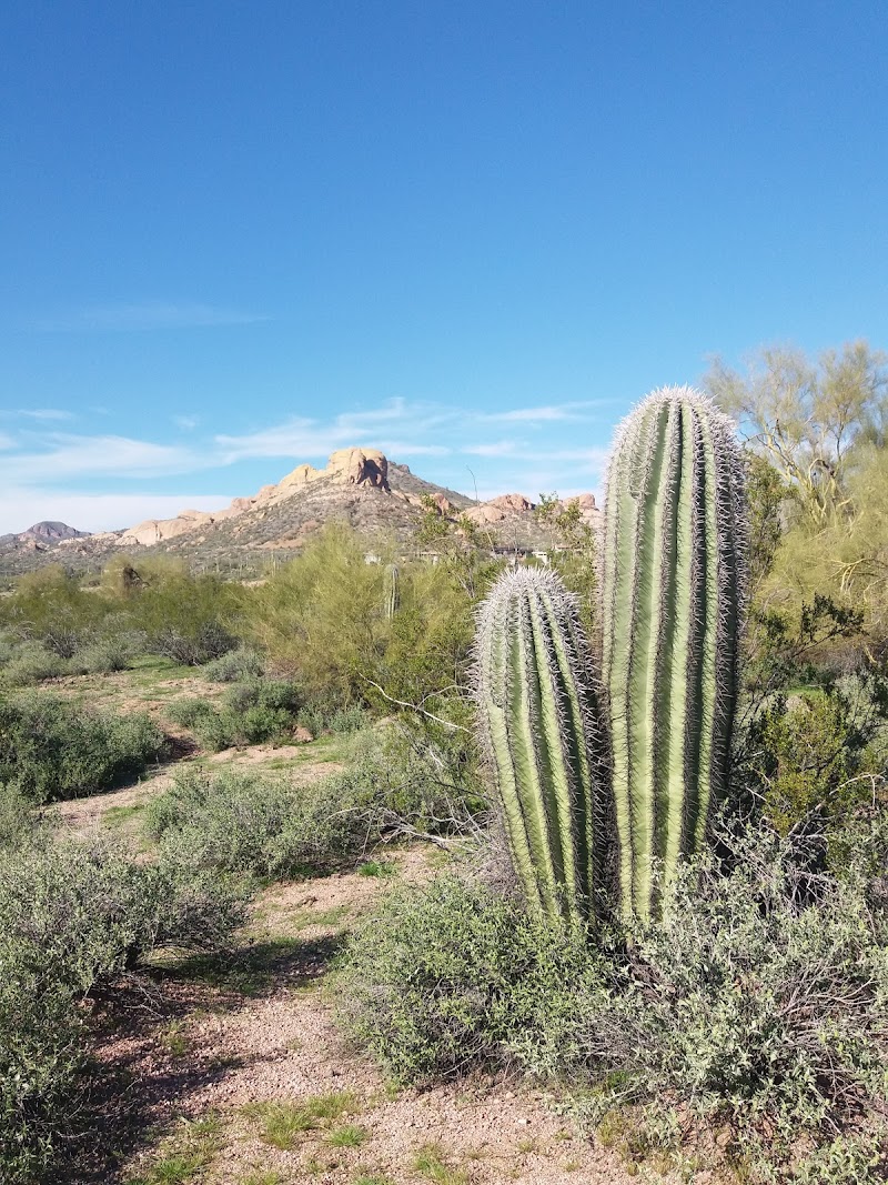 Apache Junction image 3