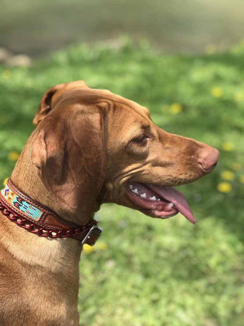 Southwest Distinctions image 3