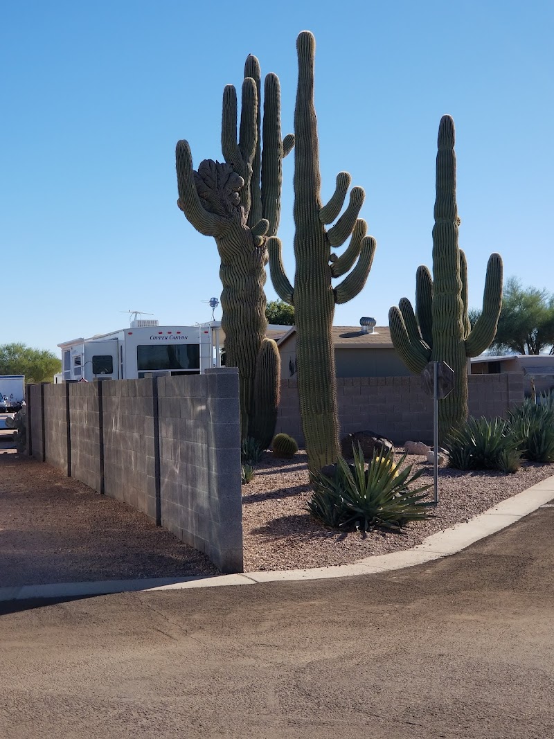 Arizonian RV Resort image 3