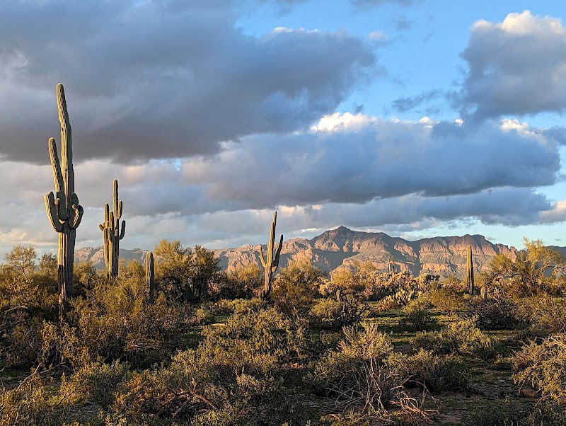 Arizonian RV Resort image 4