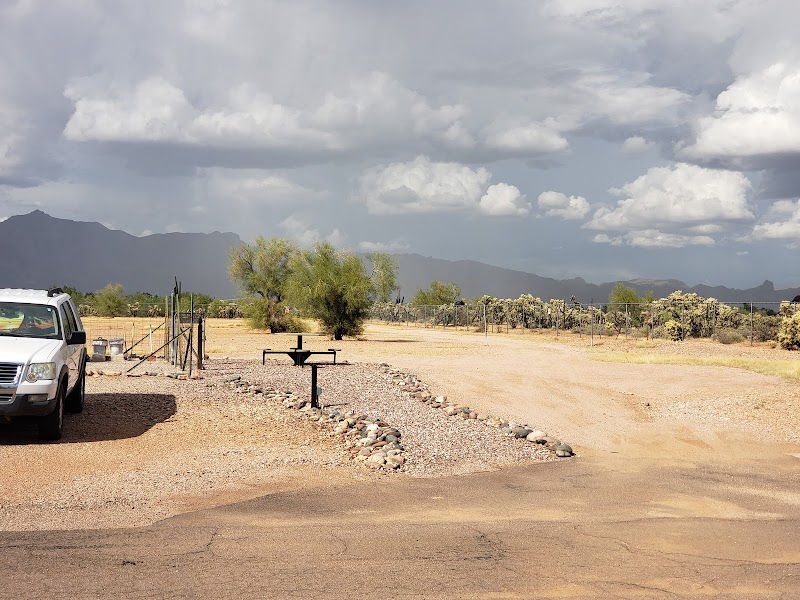 Arizonian RV Resort image 5