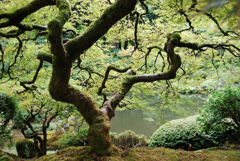 Gold Canyon Massage image 2