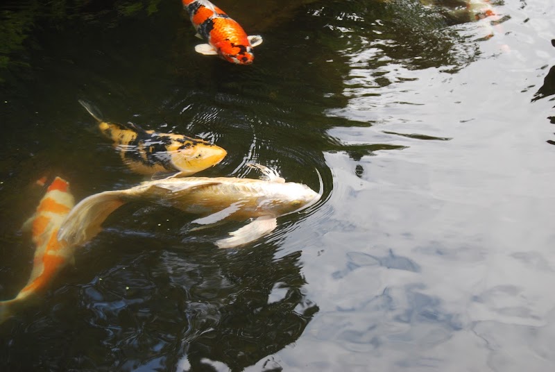 Gold Canyon Massage image 4