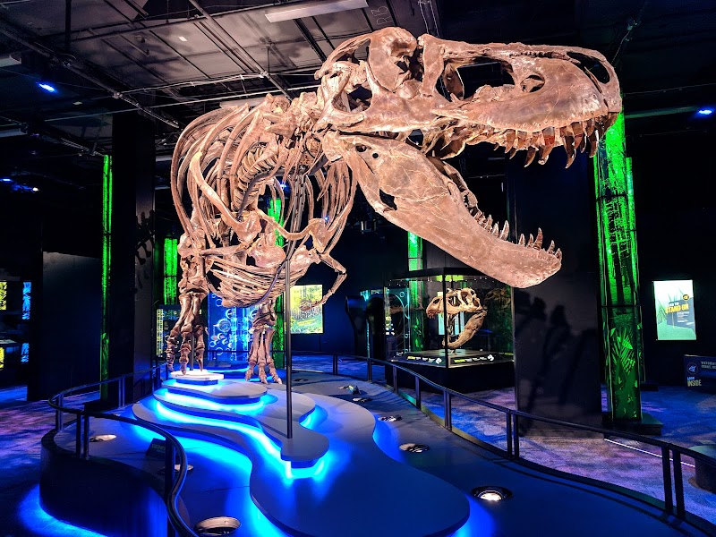 Arizona Science Center image 2