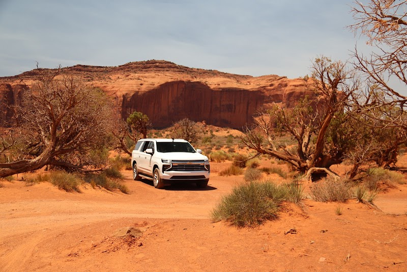 Alamo Rent A Car image 3