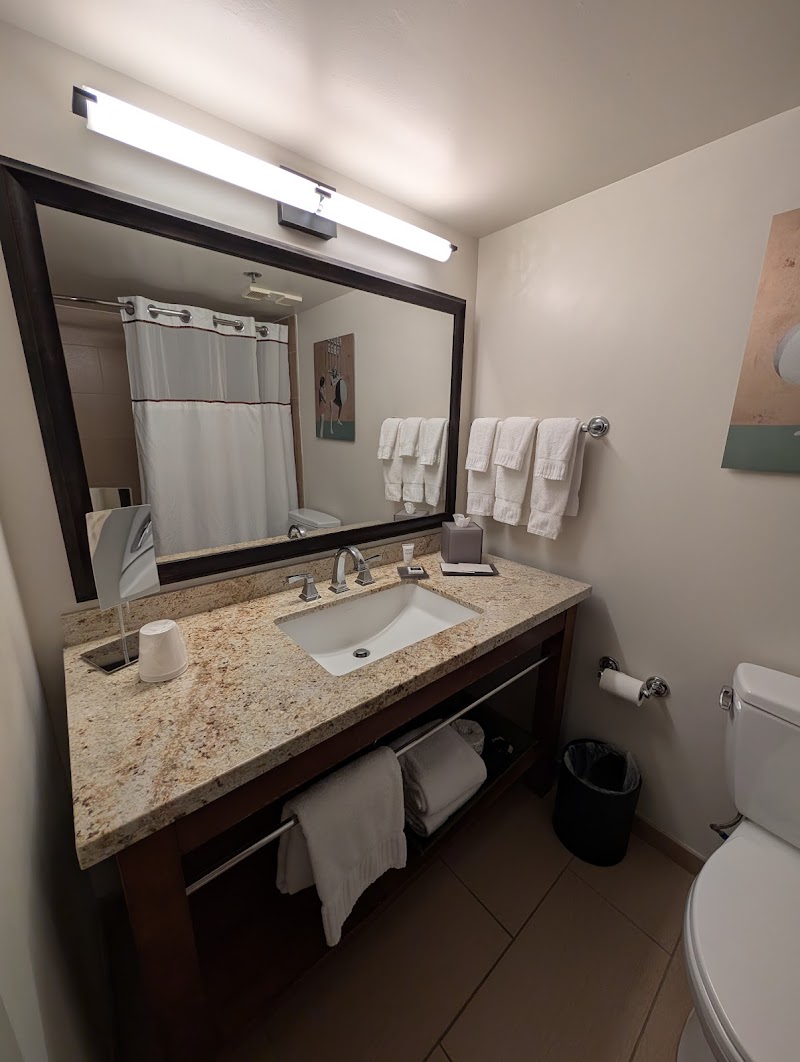 Tempe Mission Palms, a Destination by Hyatt Hotel Gallery Image