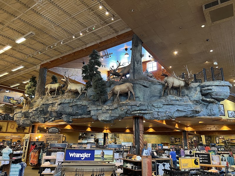 Bass Pro Shops image 2