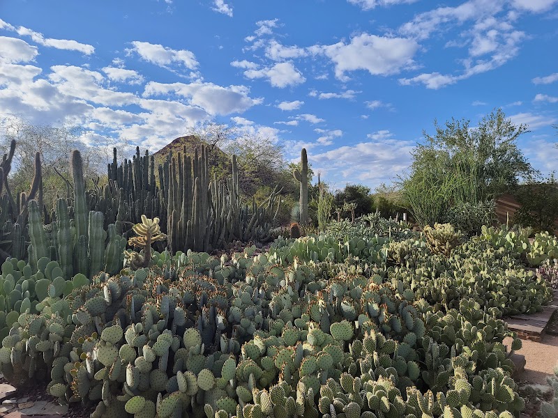 Desert Botanical Garden image 2