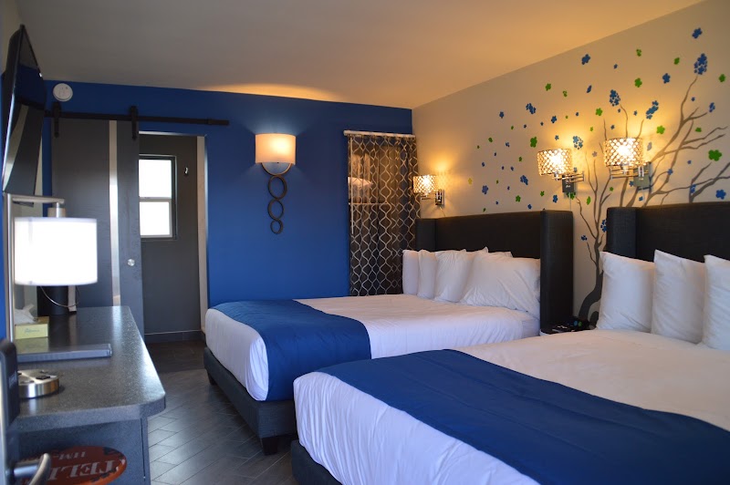 University Inn Tempe/ASU image 2