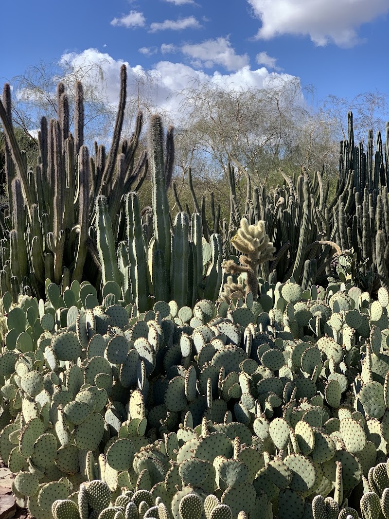 Desert Botanical Garden: Corporate Event and Group Sales image 1