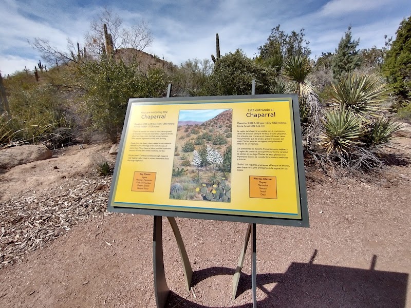 Desert Botanical Garden: Corporate Event and Group Sales image 3