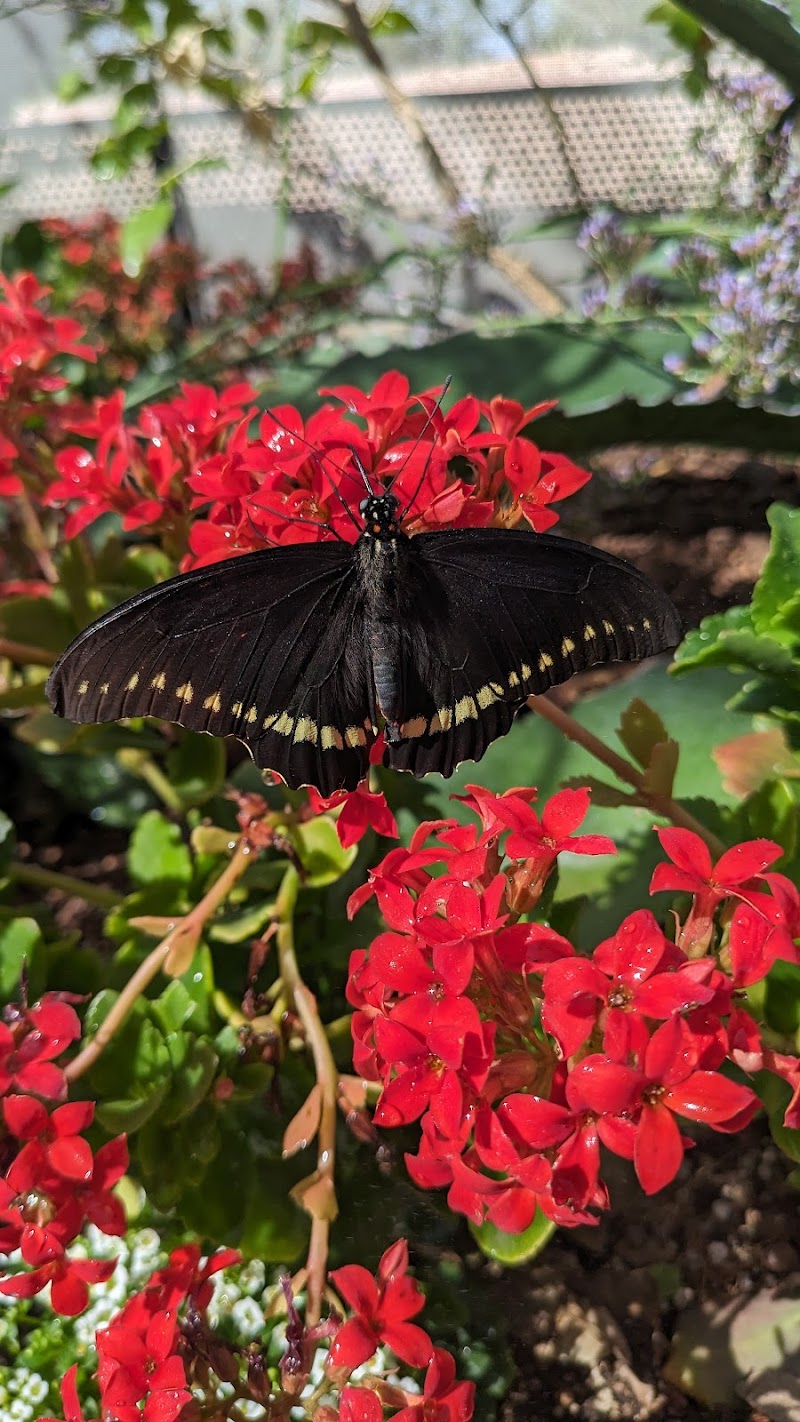 Desert Botanical Garden: Corporate Event and Group Sales image 5