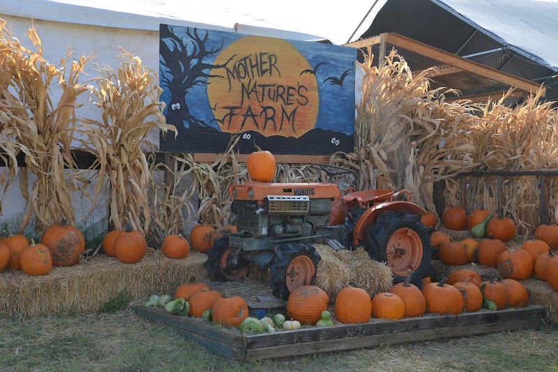 Mother Nature's Farm image 1