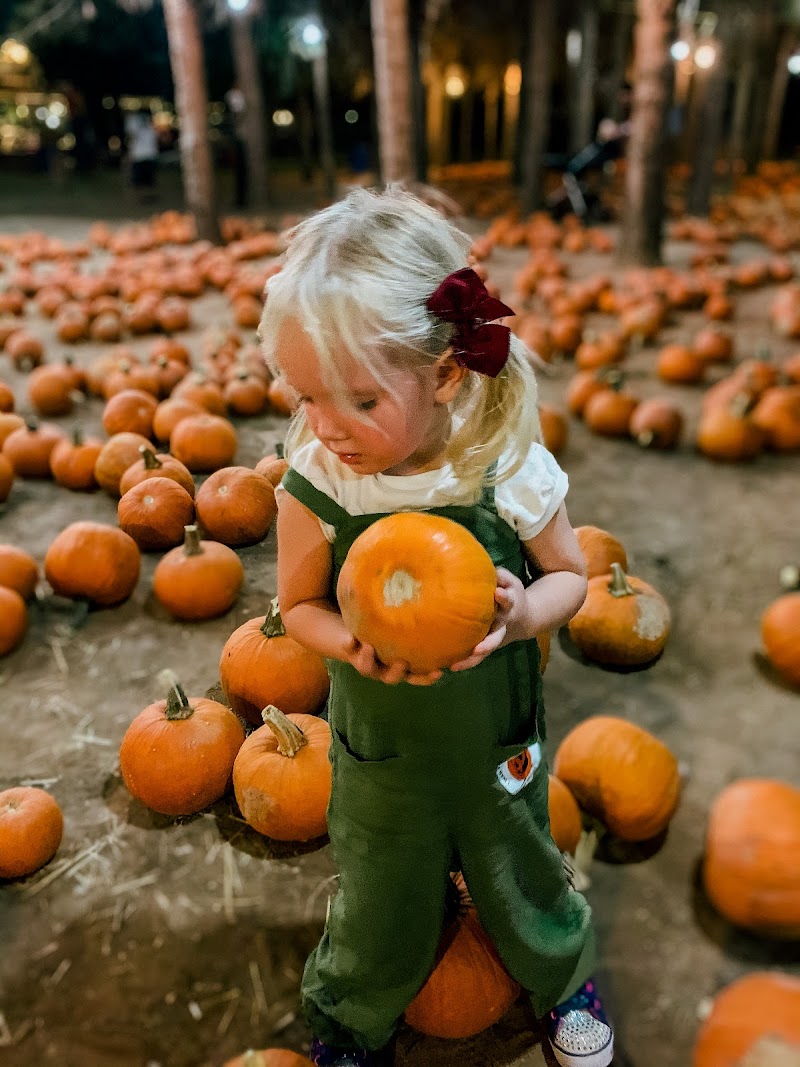 Mother Nature's Farm image 2