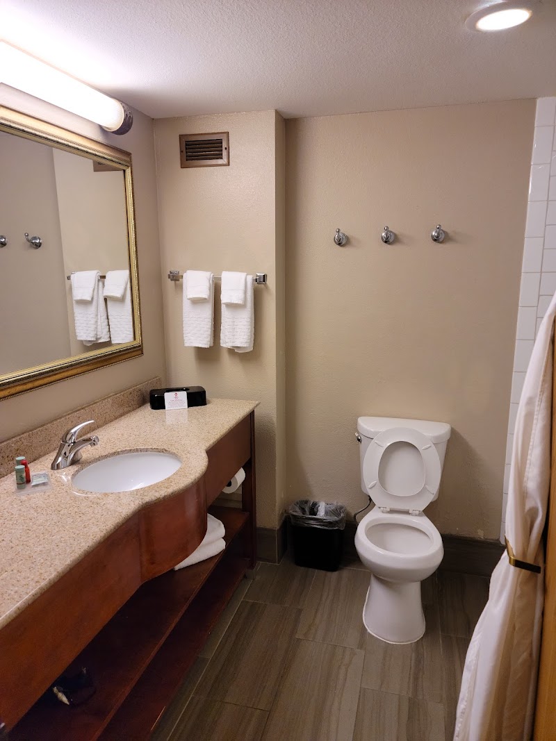 Plus Mesa Hotel image 4