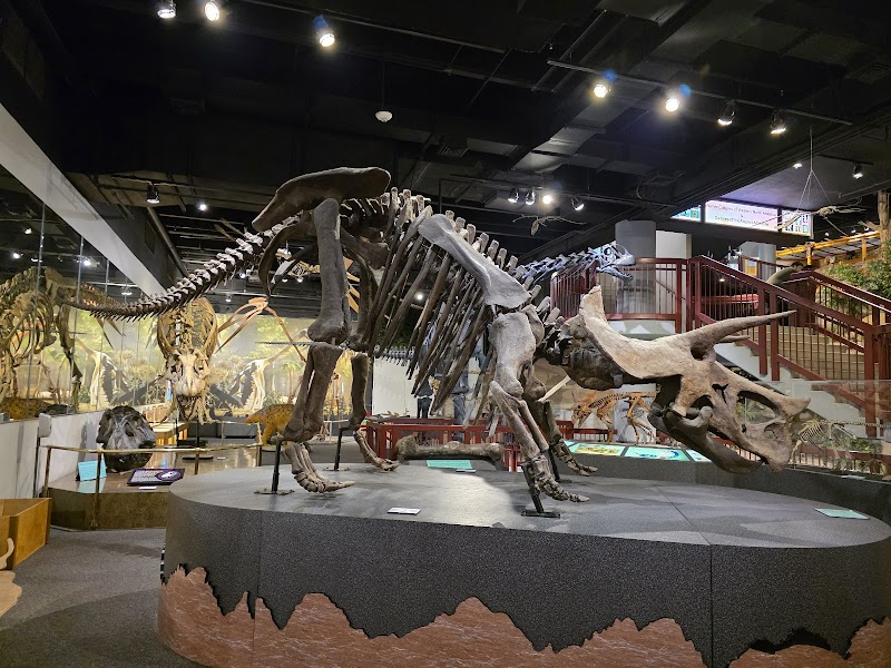 Arizona Museum of Natural History image 3