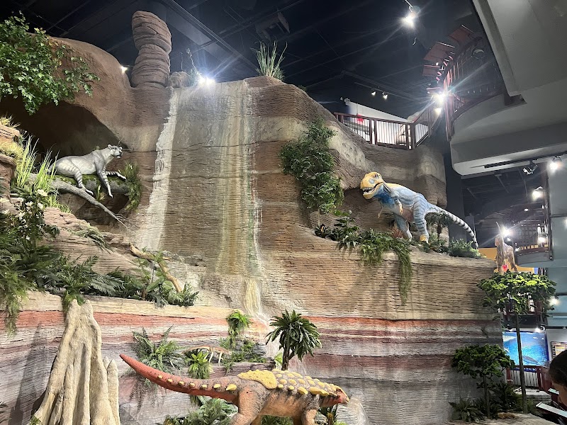 Arizona Museum of Natural History image 4