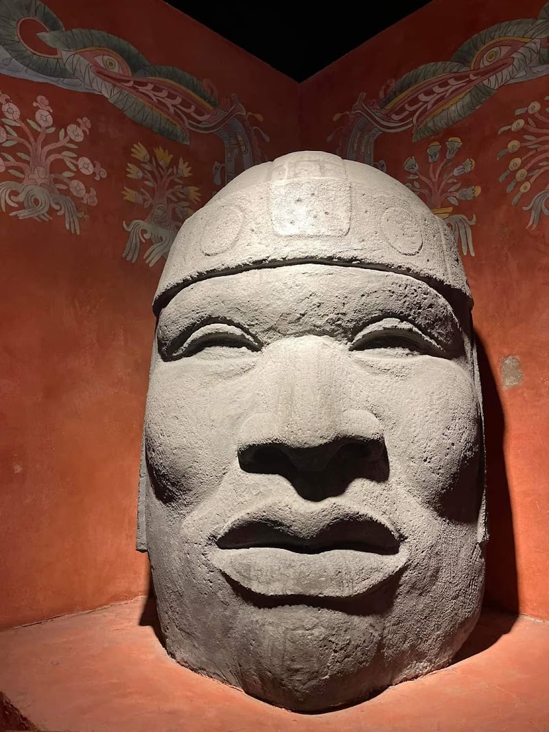 Arizona Museum of Natural History image 5