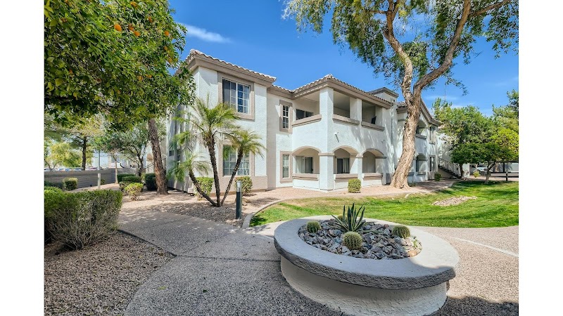 Springs at Alta Mesa image 1