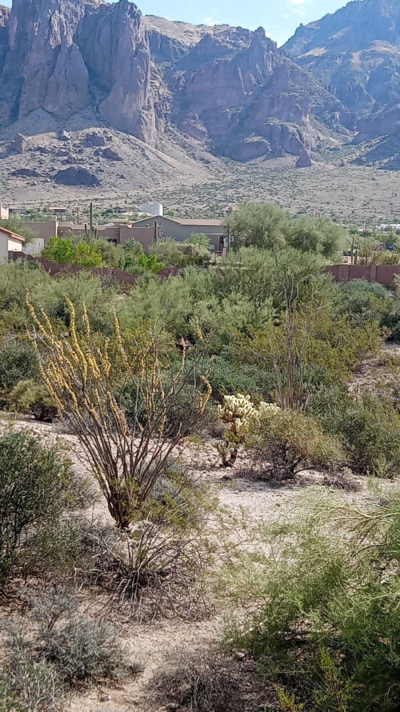 Lost Dutchman State Park image 3