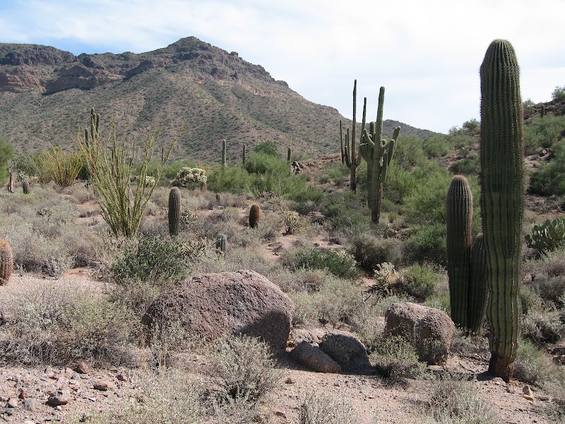 Usery Mountain Regional Park image 2