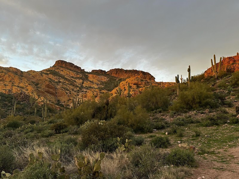 Apache Trail Tours image 4