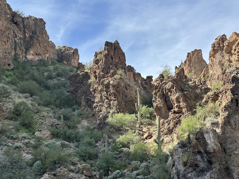 The Dolly Steamboat image 5