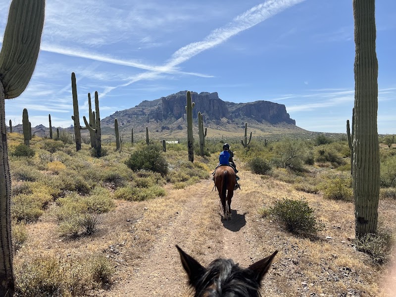 Superstitions OK Corral Stables image 1