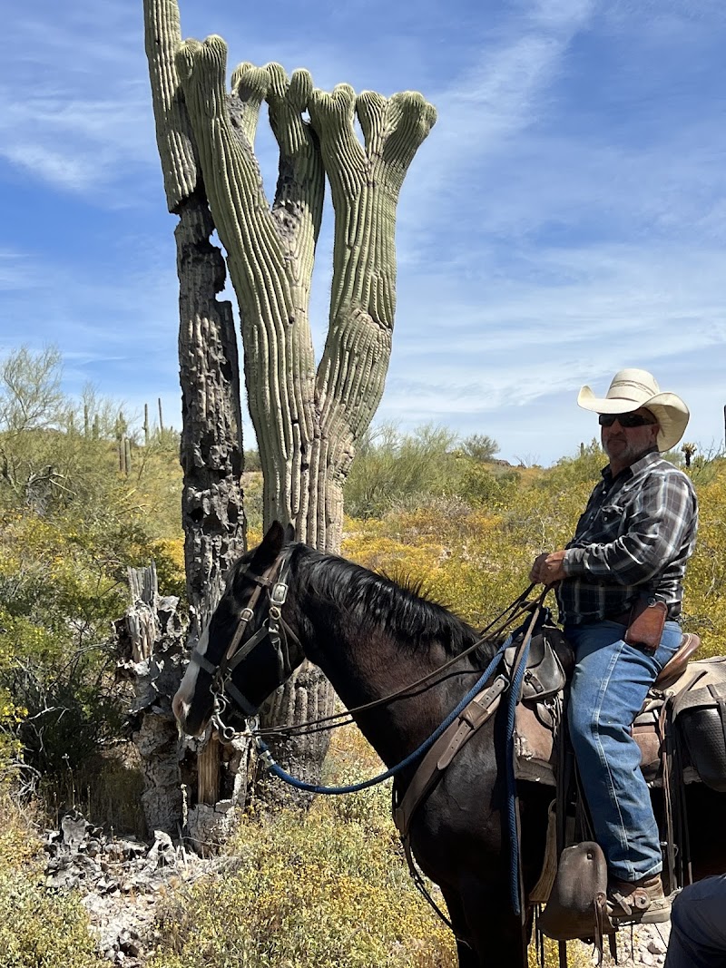 Superstitions OK Corral Stables image 5