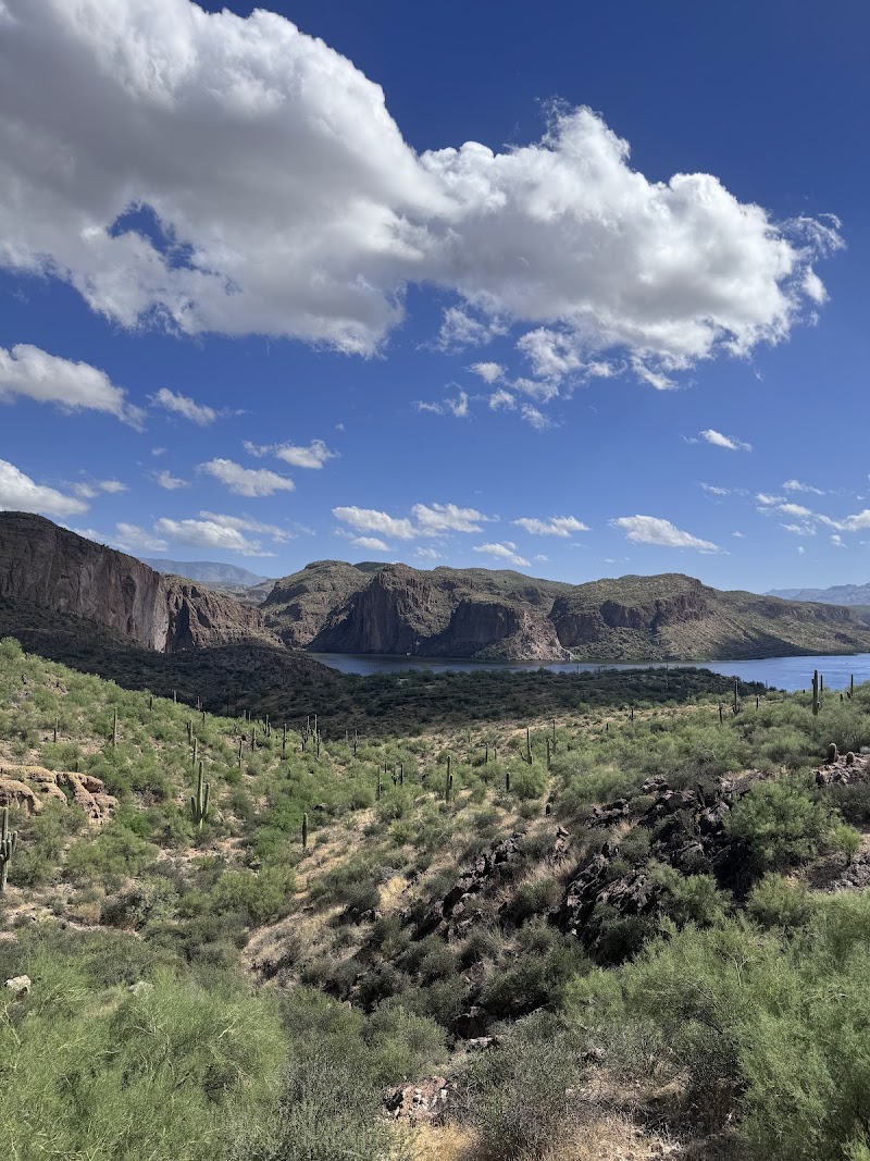 Canyon Lake Vista image 3